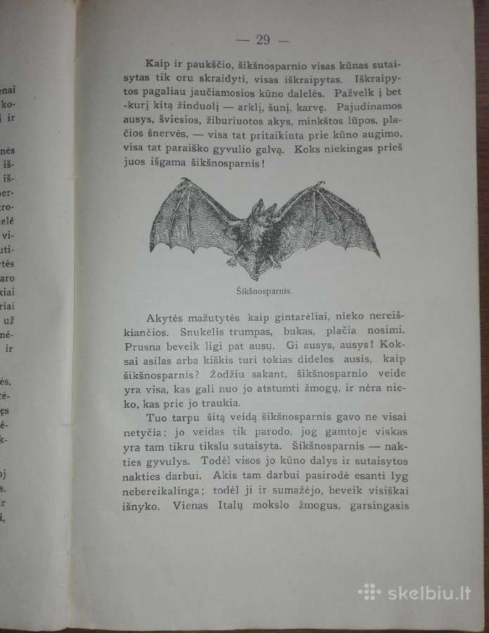 1456. Visuomenės Įnamiai Bogdanovas M. - nuotraukos Nr. 4