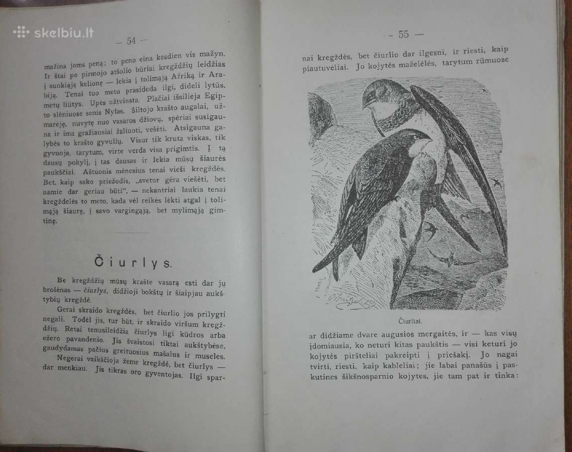 1456. Visuomenės Įnamiai Bogdanovas M. - nuotraukos Nr. 5