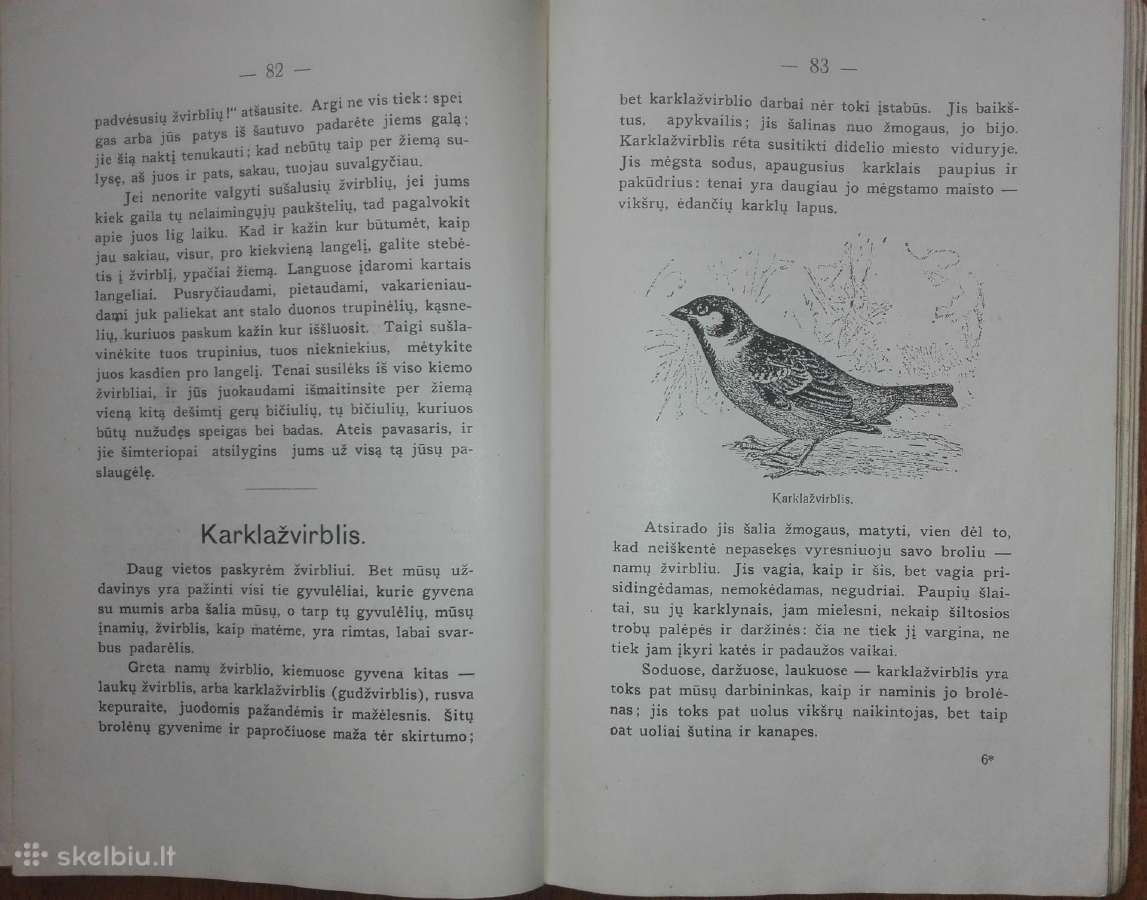 1456. Visuomenės Įnamiai Bogdanovas M. - nuotraukos Nr. 6
