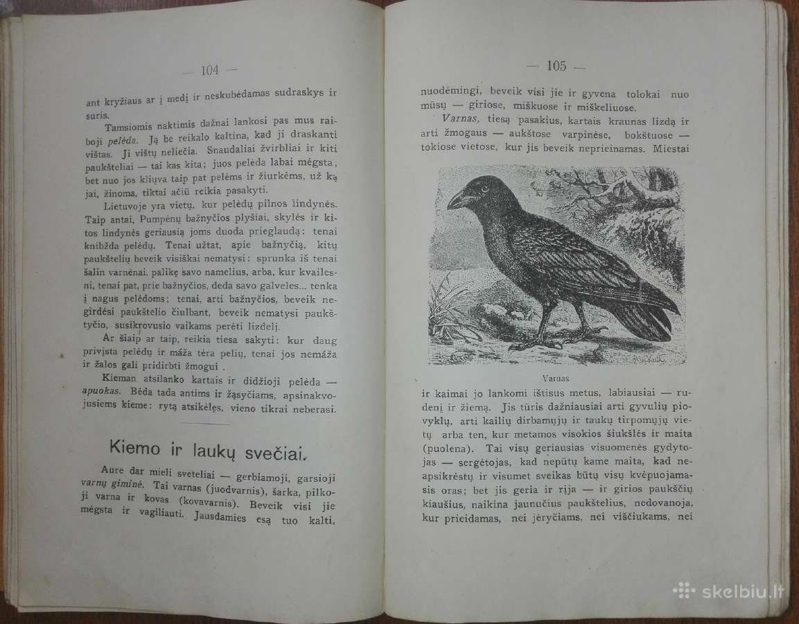 1456. Visuomenės Įnamiai Bogdanovas M. - nuotraukos Nr. 7