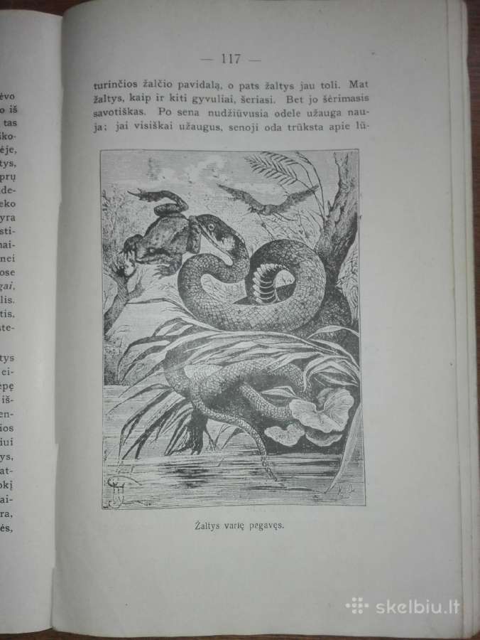 1456. Visuomenės Įnamiai Bogdanovas M. - nuotraukos Nr. 8