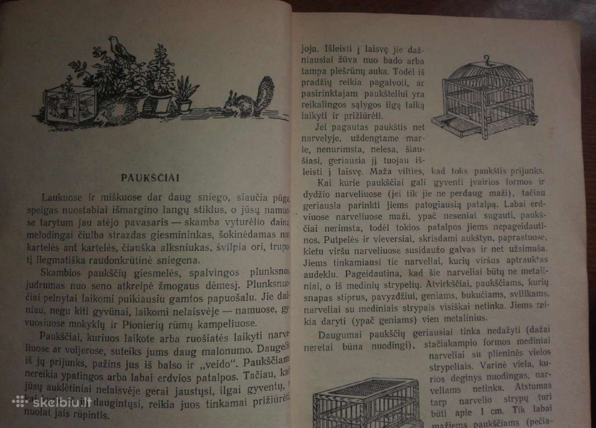 1457. Namų Ir Mokyklos Gyvasis Kampelis Sosnovskis - nuotraukos Nr. 5
