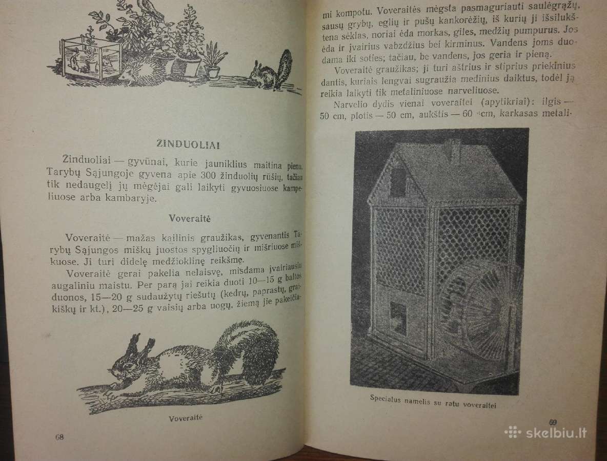 1457. Namų Ir Mokyklos Gyvasis Kampelis Sosnovskis - nuotraukos Nr. 6
