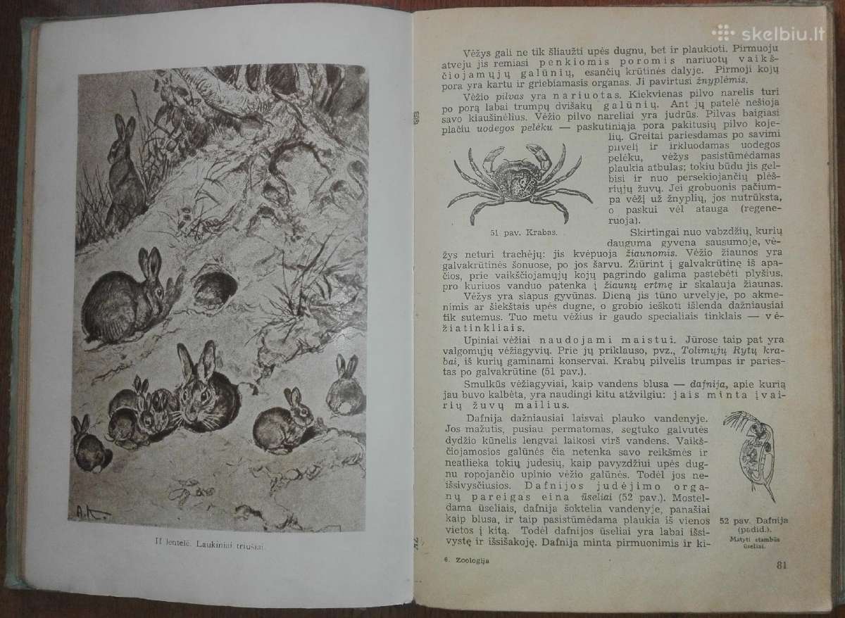 1458. Zoologija Salajevas V. 1950 m. - nuotraukos Nr. 3