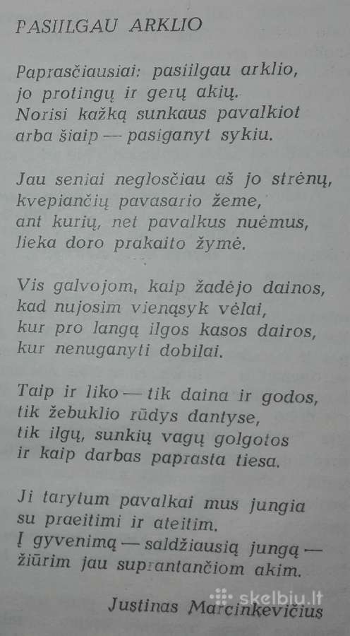 1460. Oi, Žirge Žirge - nuotraukos Nr. 2