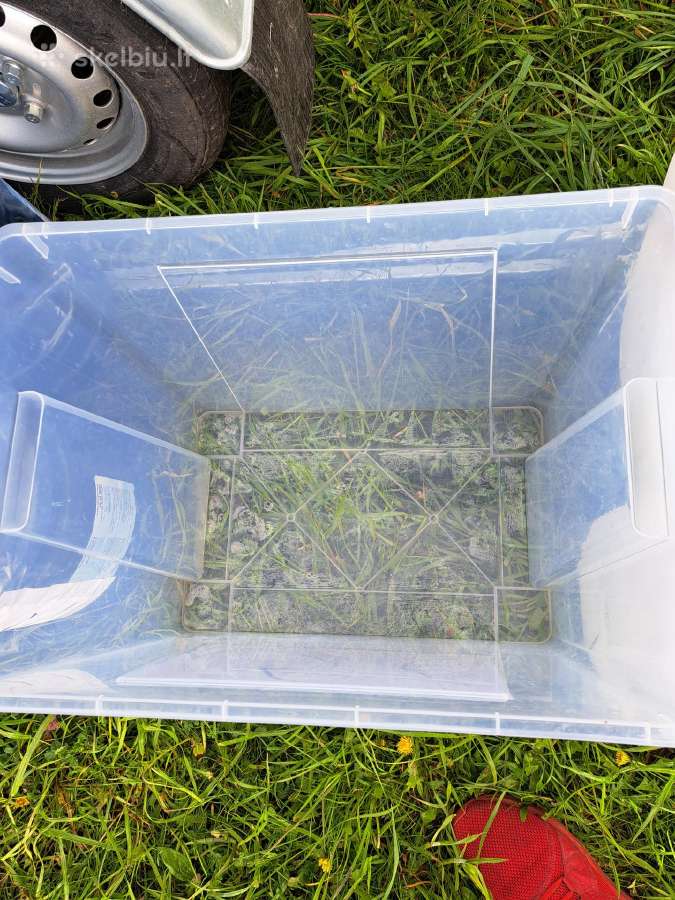 Daiktadėžės 65ltr.ikea - nuotraukos Nr. 5