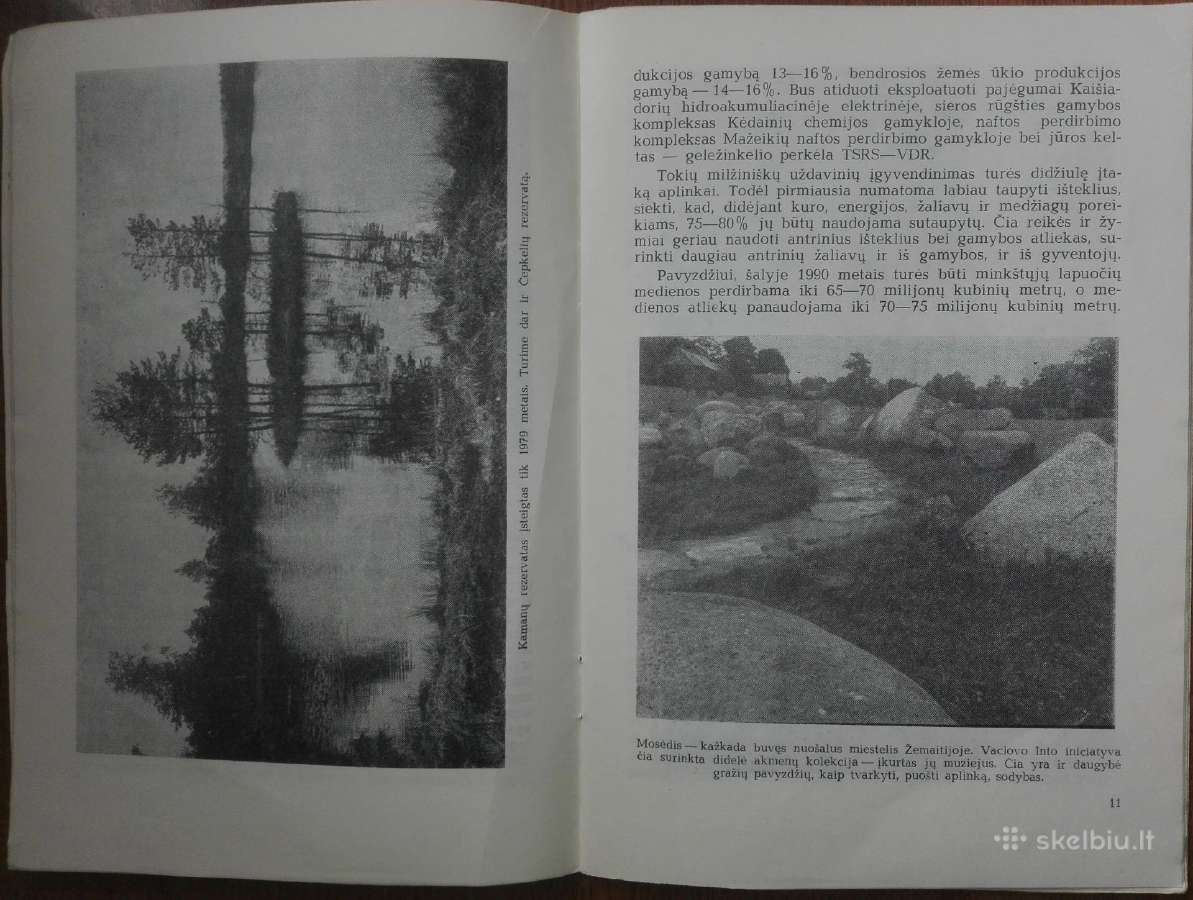 1461. Paukščiui Čiulbėti-medžiui Žaliuoti Lukaševi - nuotraukos Nr. 2