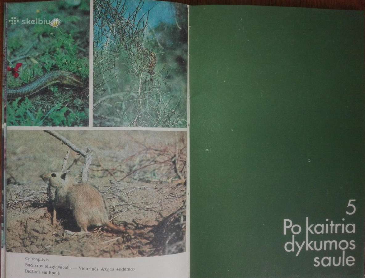 1462. Rezervatų Takais Mierauskas P. - nuotraukos Nr. 5