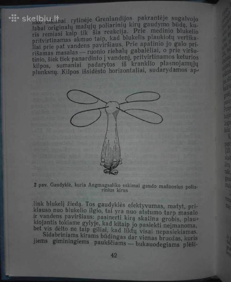 1463. Sidabrinio Kiro Pasaulis Tinbergenas N. - nuotraukos Nr. 2