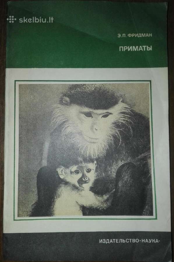 1467. Приматы Фридман Э.