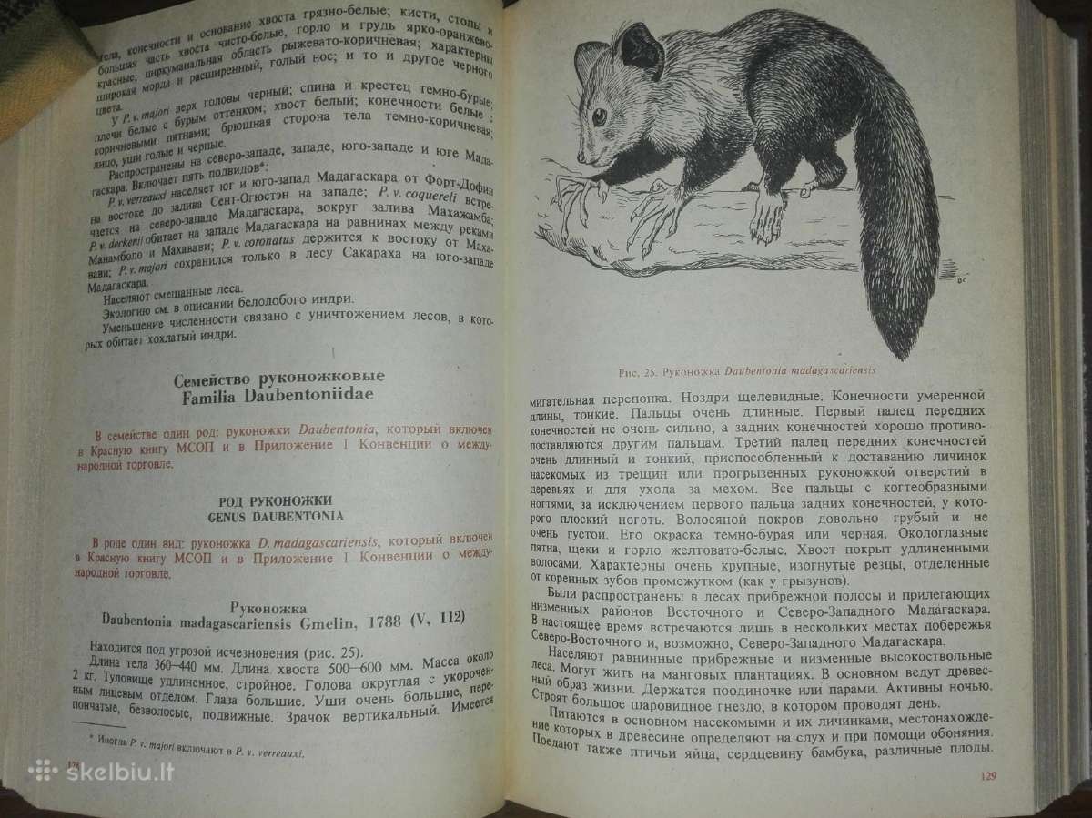 1468. Редкие И Исчезающие Животне. Млекопитающие - nuotraukos Nr. 3