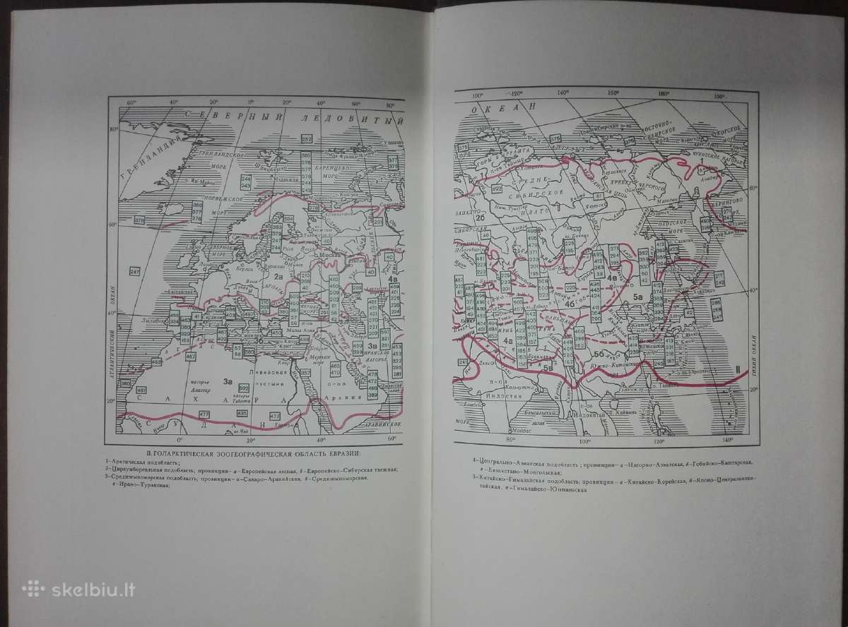 1468. Редкие И Исчезающие Животне. Млекопитающие - nuotraukos Nr. 8
