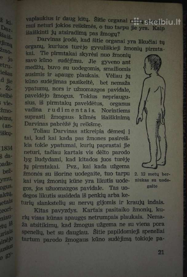 1470. Kaip Atsirado Žmogus Gremiackij M. - nuotraukos Nr. 4