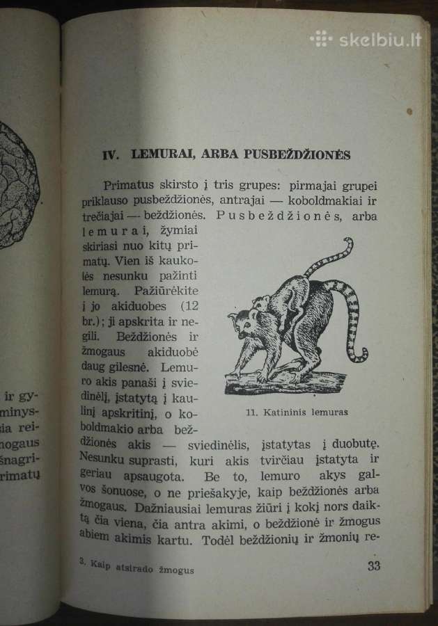 1470. Kaip Atsirado Žmogus Gremiackij M. - nuotraukos Nr. 5
