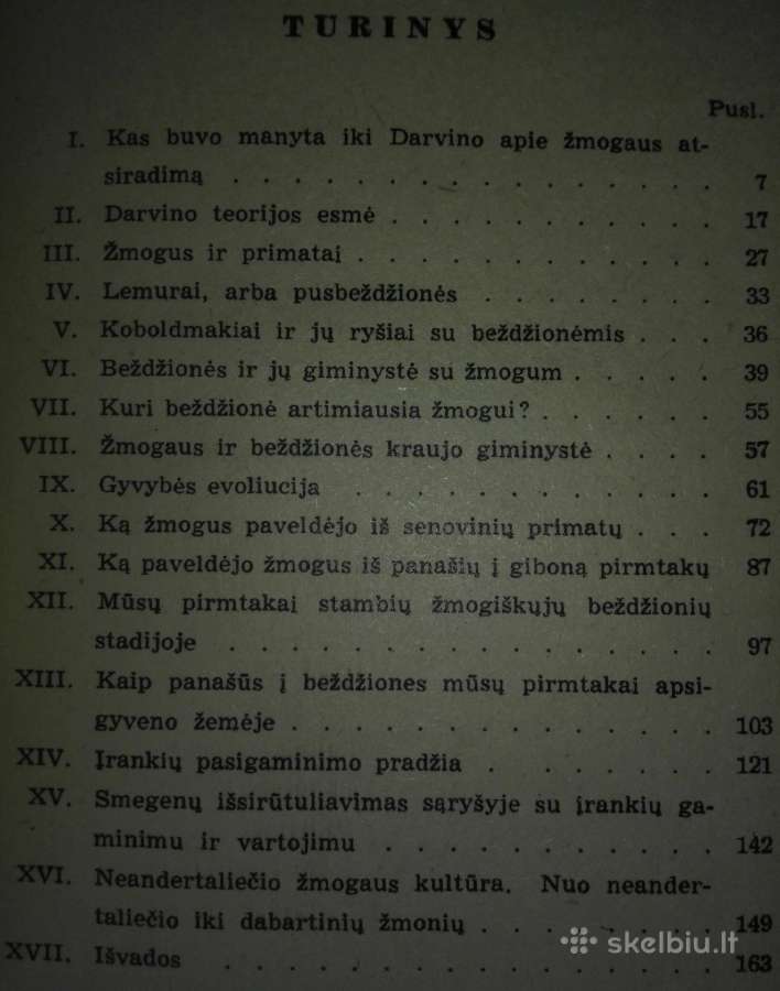 1470. Kaip Atsirado Žmogus Gremiackij M. - nuotraukos Nr. 8