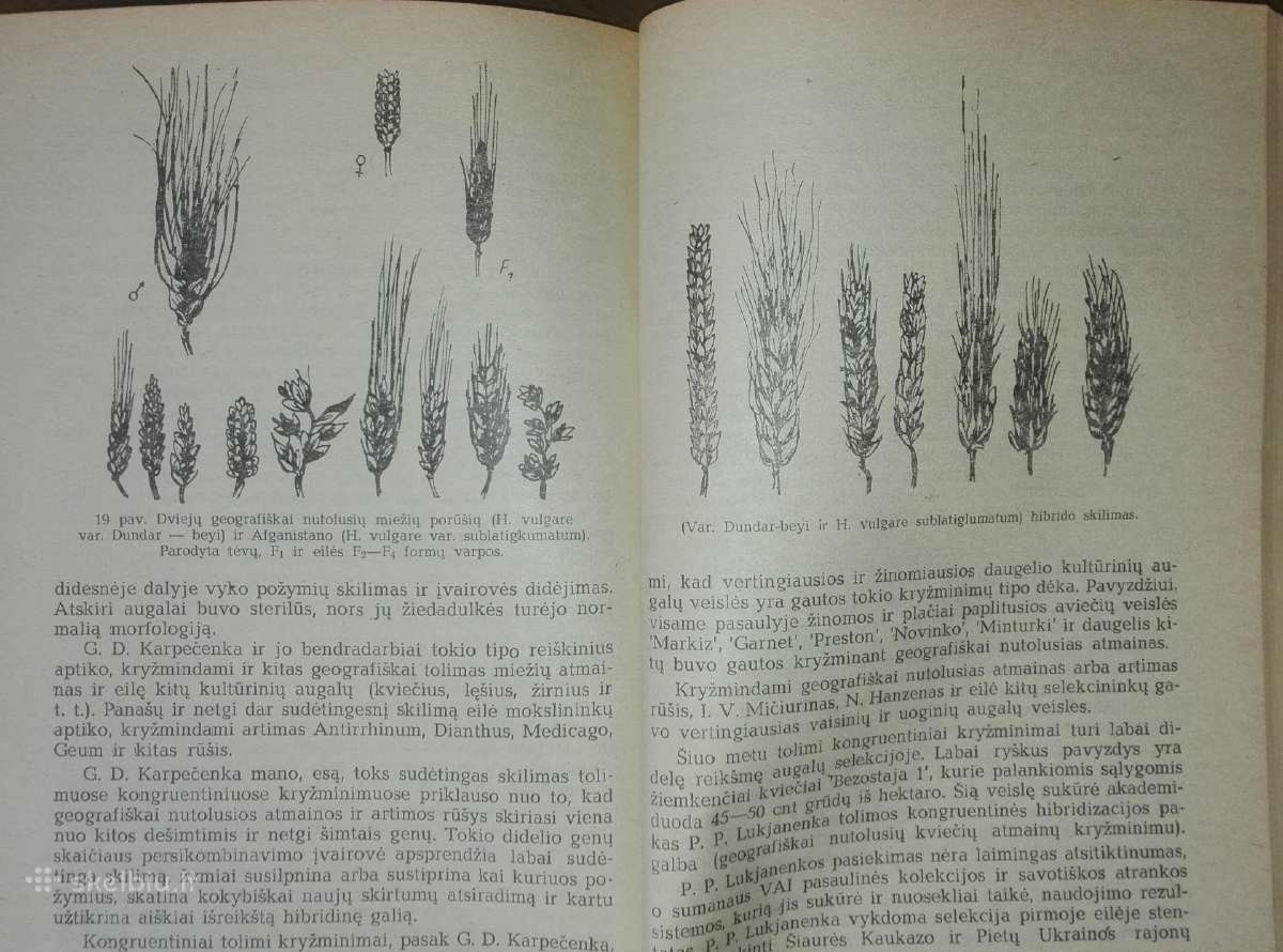 1473. Genetika Ir Žemės Ūkis Petrovas D. - nuotraukos Nr. 2