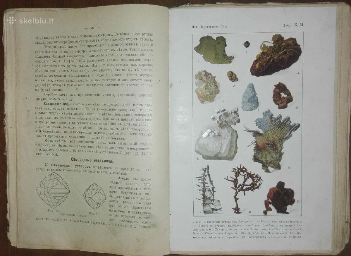 1478. Естественная Исторiя Нечаев А. - nuotraukos Nr. 6