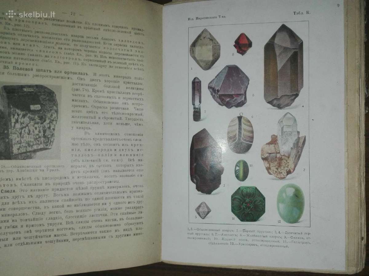 1478. Естественная Исторiя Нечаев А. - nuotraukos Nr. 7