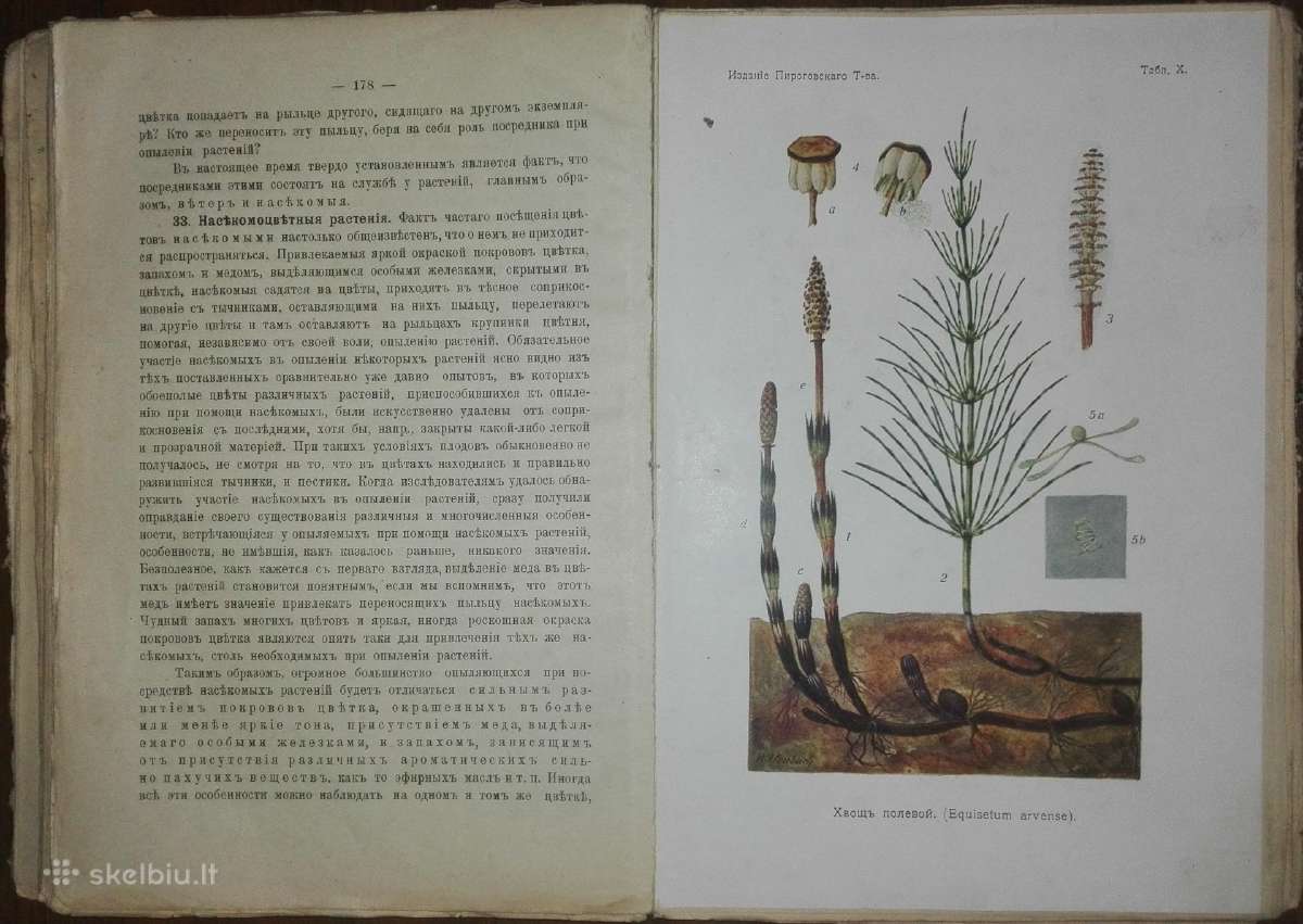 1478. Естественная Исторiя Нечаев А. - nuotraukos Nr. 9