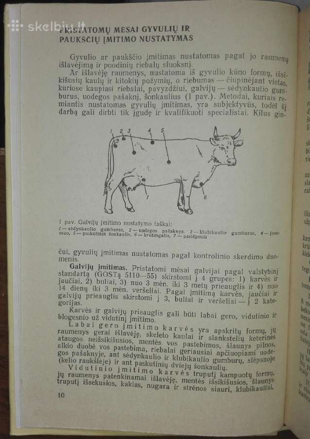 1480. Veterinarinė-sanitarinė Espertizė Ir Gyvulių - nuotraukos Nr. 3