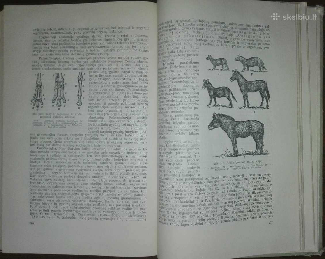 1486. Zoologijos Kursas Banikovas A. - nuotraukos Nr. 5