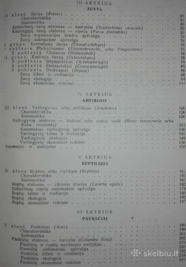 1486. Zoologijos Kursas Banikovas A. - nuotraukos Nr. 7