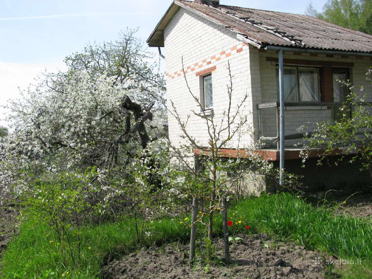 Parduodamas sodo sklypas su namu - nuotraukos Nr. 6