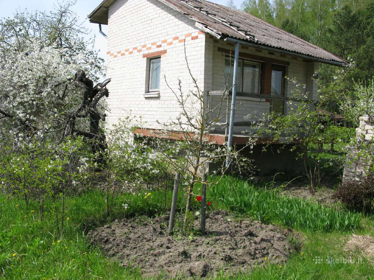 Parduodamas sodo sklypas su namu - nuotraukos Nr. 3