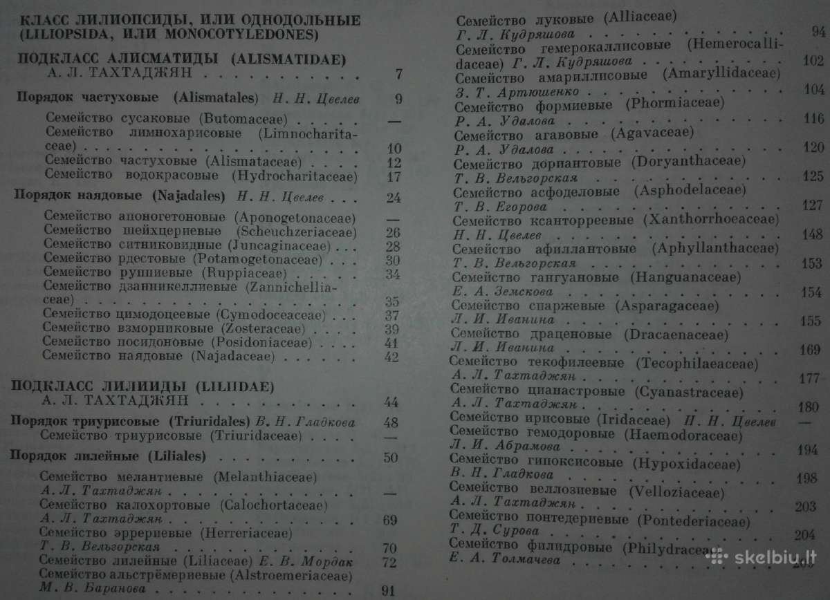 1491. Жизнь Растений - nuotraukos Nr. 8