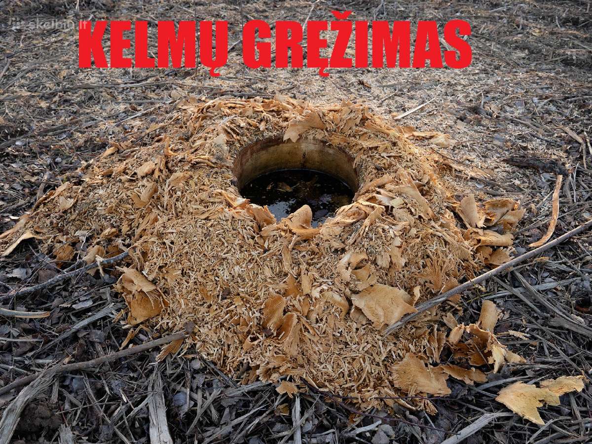 Apleistų laukų tvarkymas, kelmų frezavimas - nuotraukos Nr. 6