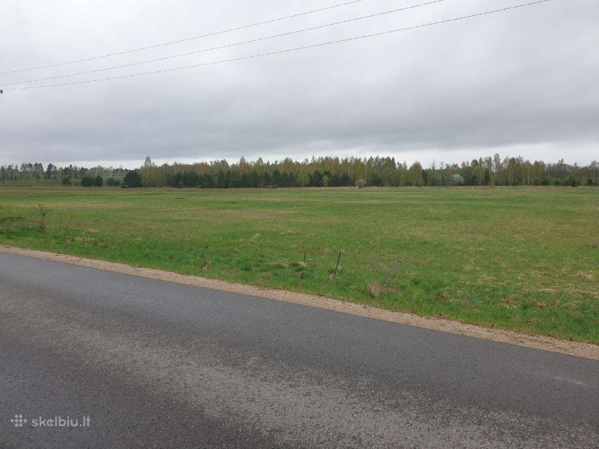 2ha sklypas Raudondvario k., Vilniaus r. - nuotraukos Nr. 5