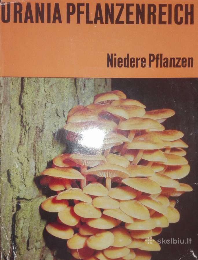 1503. Urania Pflanzenreich