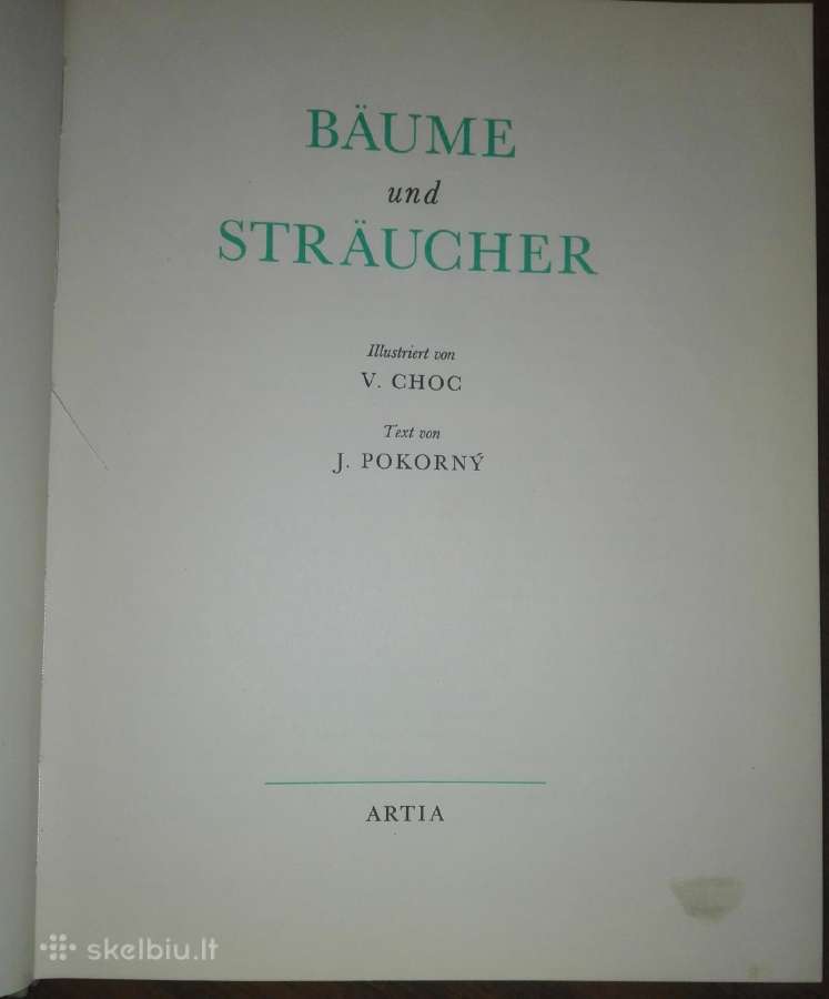 1504. Baume Und Straucher - nuotraukos Nr. 2