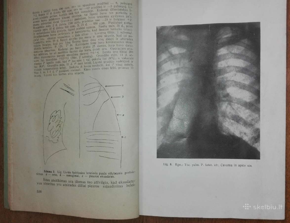 1506. Medicina antikvarinis-kolekcinis laikraštis - nuotraukos Nr. 2