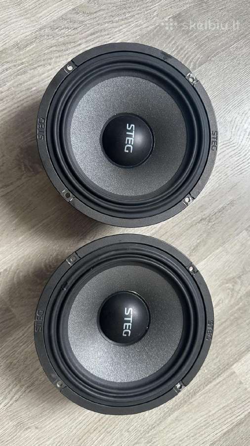 Audio aparatūra: kolonelės/amp/dsp ir kt.