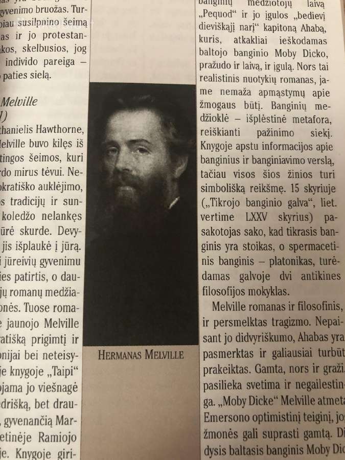 Amerikiečių literatūros apybraiža - nuotraukos Nr. 3