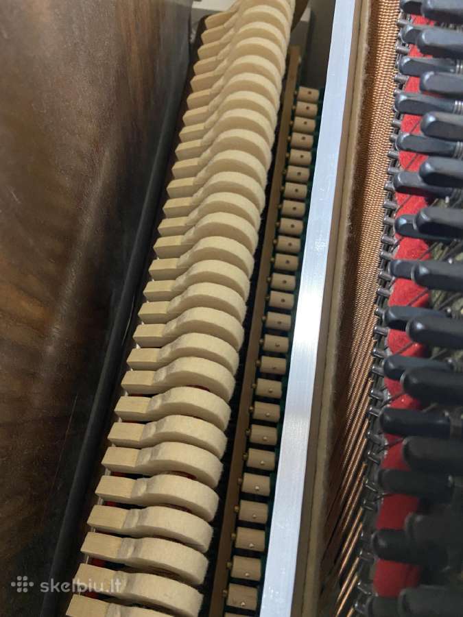 Pianinas August Hoffman Švedija (Renner) - nuotraukos Nr. 23