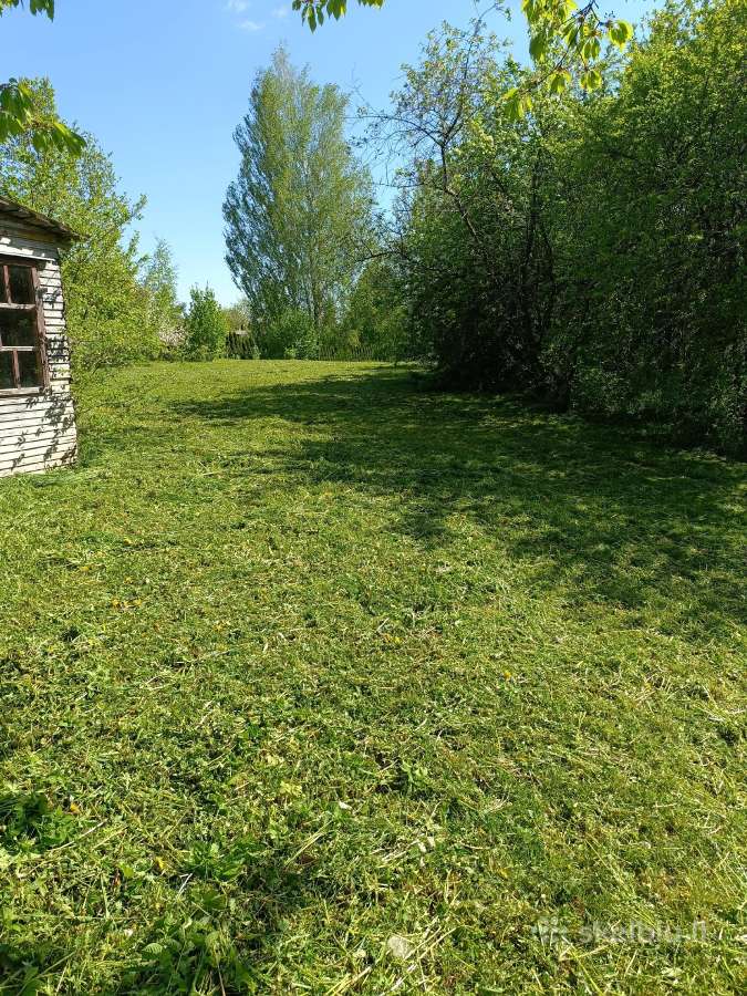 Žolės/gyvatvorių/medžių/krūmų/genėjimas/ pjovimas - nuotraukos Nr. 9