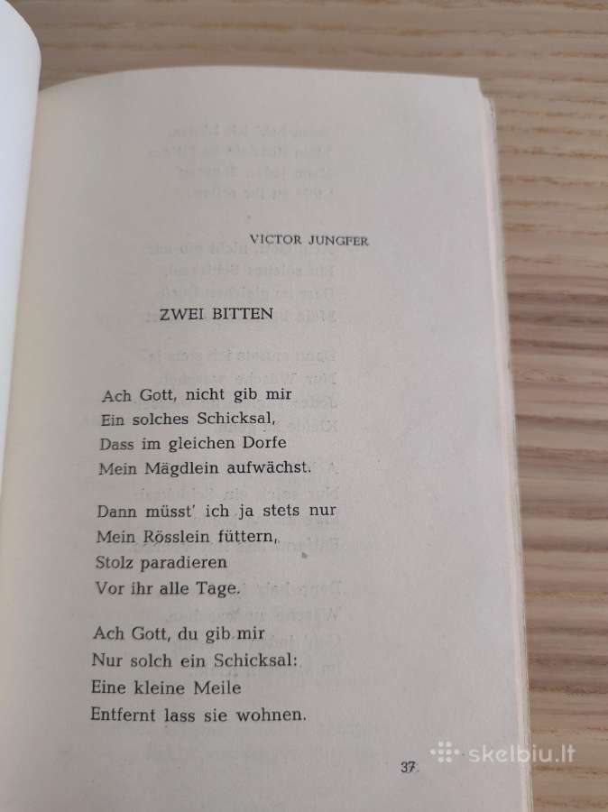 Lietuviškos dainos (vokiečių kalba) - nuotraukos Nr. 4