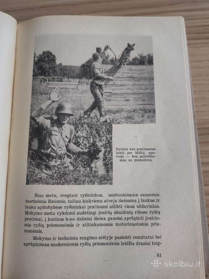 Knyga. Karo technikos dvidešimtmetis. 1919-1939. - nuotraukos Nr. 8