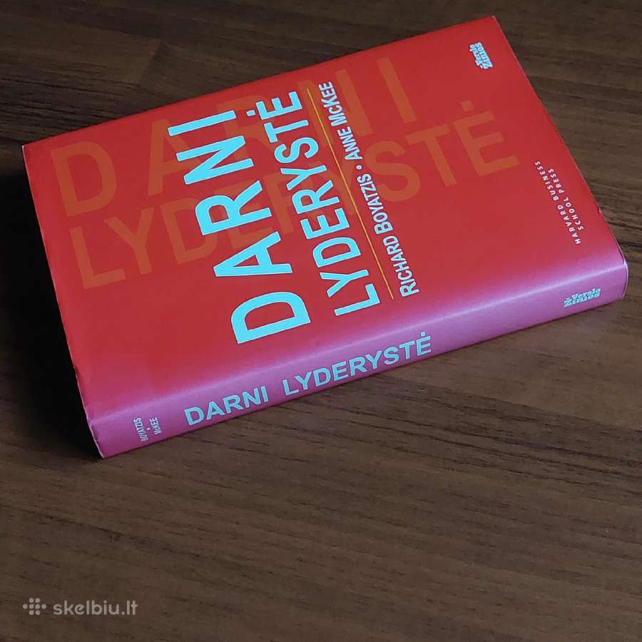 R. Boyatzis ,A. Mckee - Darni Lyderystė . - nuotraukos Nr. 3