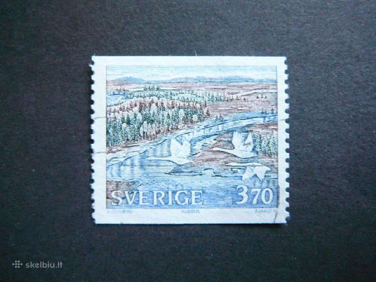 Antys Svedija antsp. svd1377