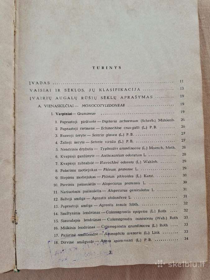 Pašarinių žolių ir jų piktžolių sėklos - nuotraukos Nr. 2
