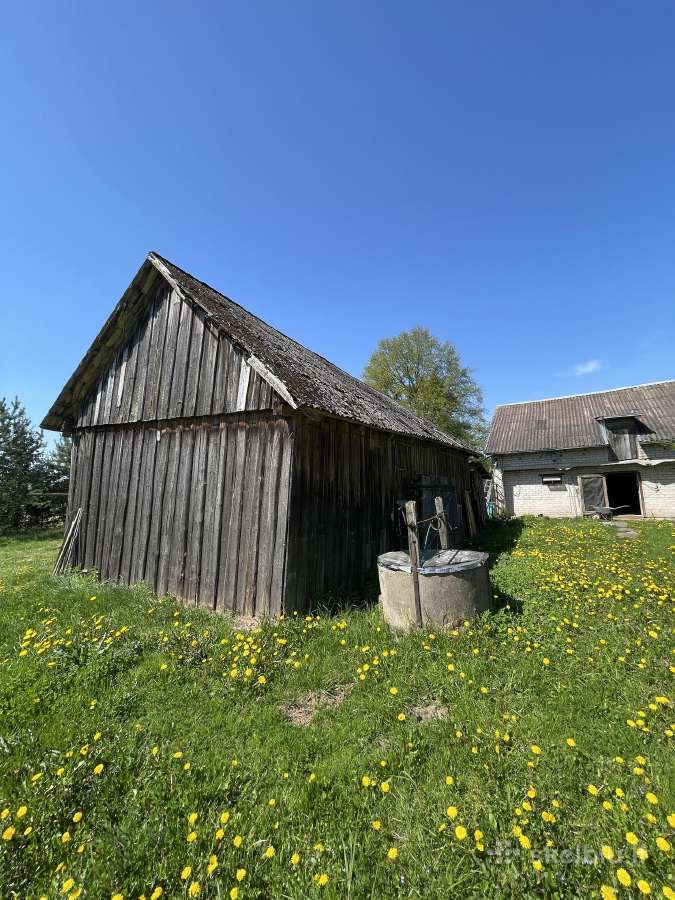 Pastatų griovimo paslaugos - nuotraukos Nr. 11