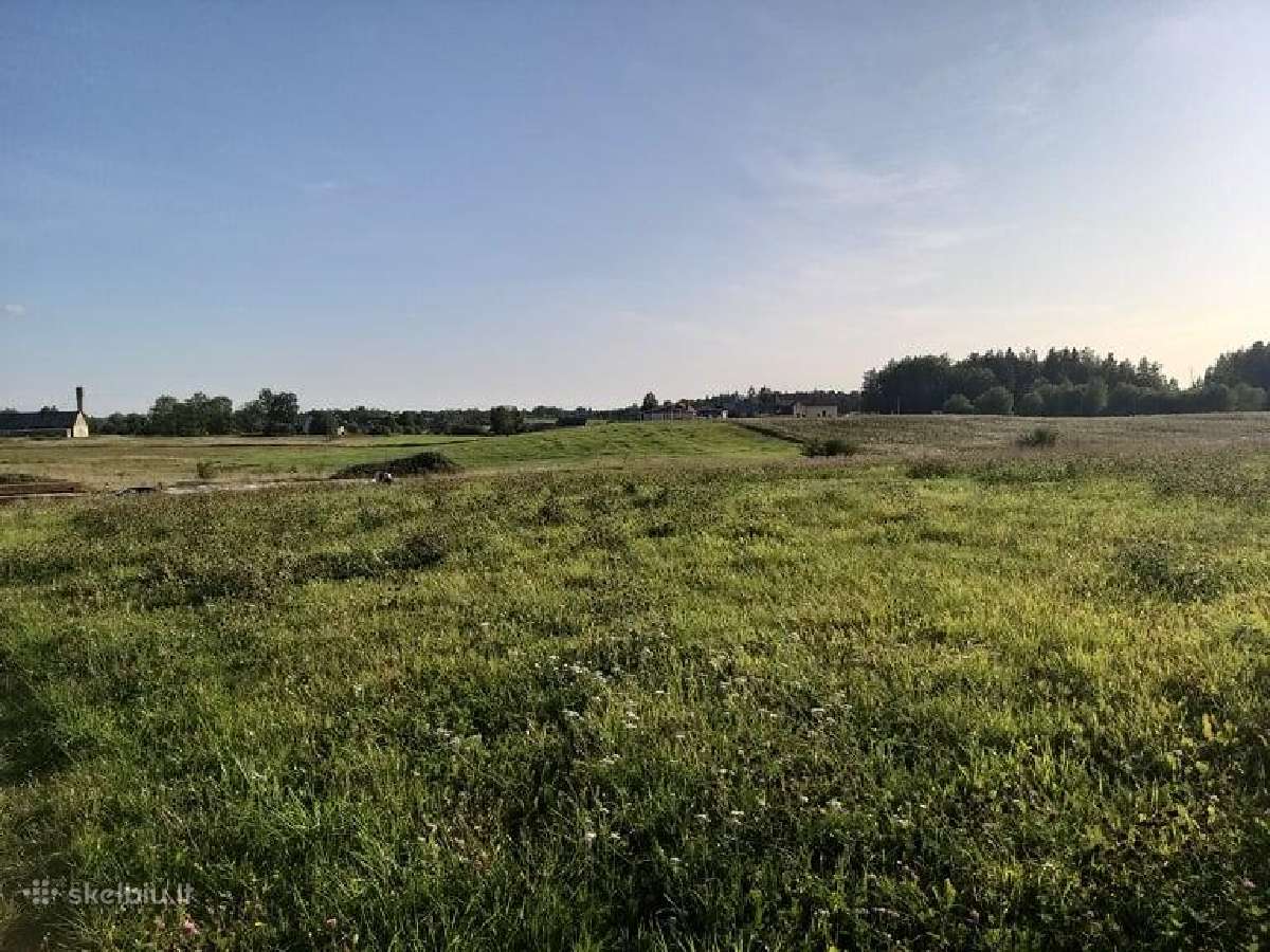 Parduodami namų valdos sklypai, sodyba. - nuotraukos Nr. 2