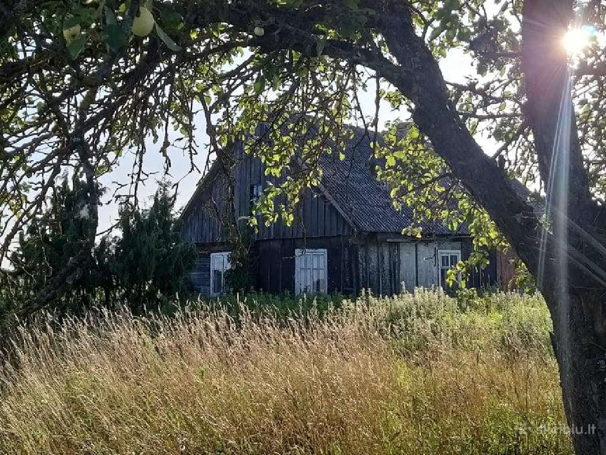 Parduodami namų valdos sklypai, sodyba. - nuotraukos Nr. 4
