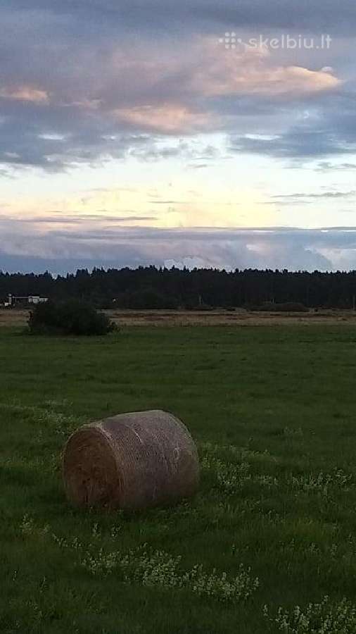 Parduodami namų valdos sklypai, sodyba. - nuotraukos Nr. 5