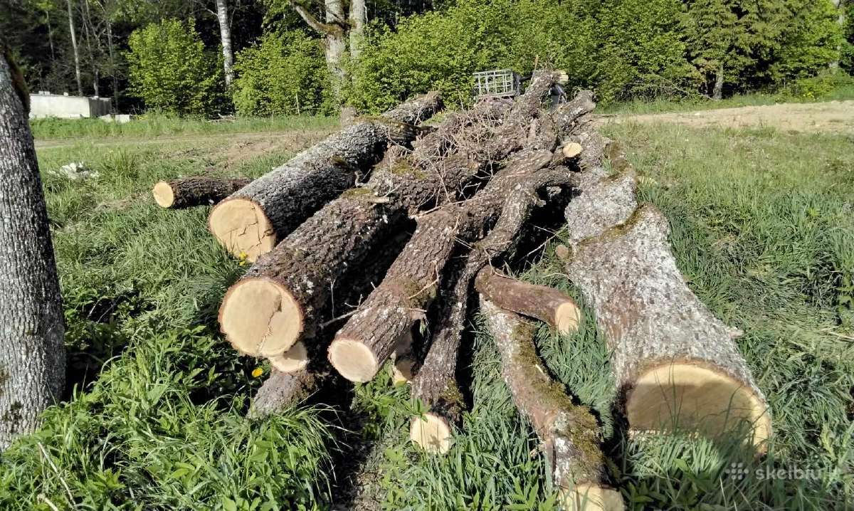 Ąžuolo rąstai, mediena