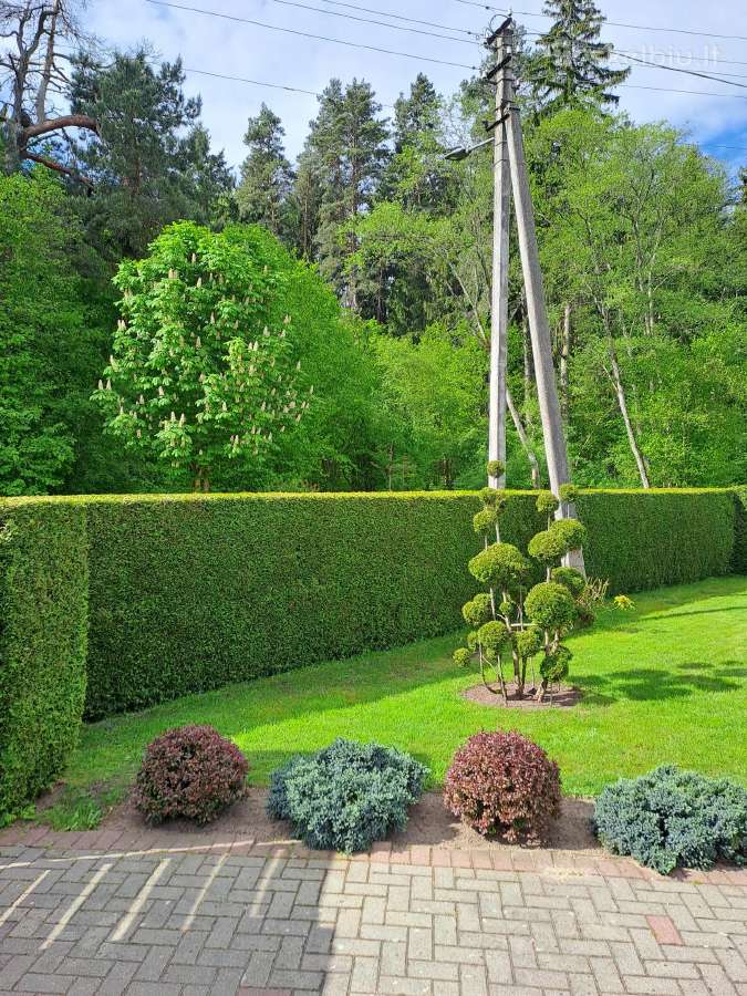 Gyvatvorių karpymas, žeminimas, formavimas
