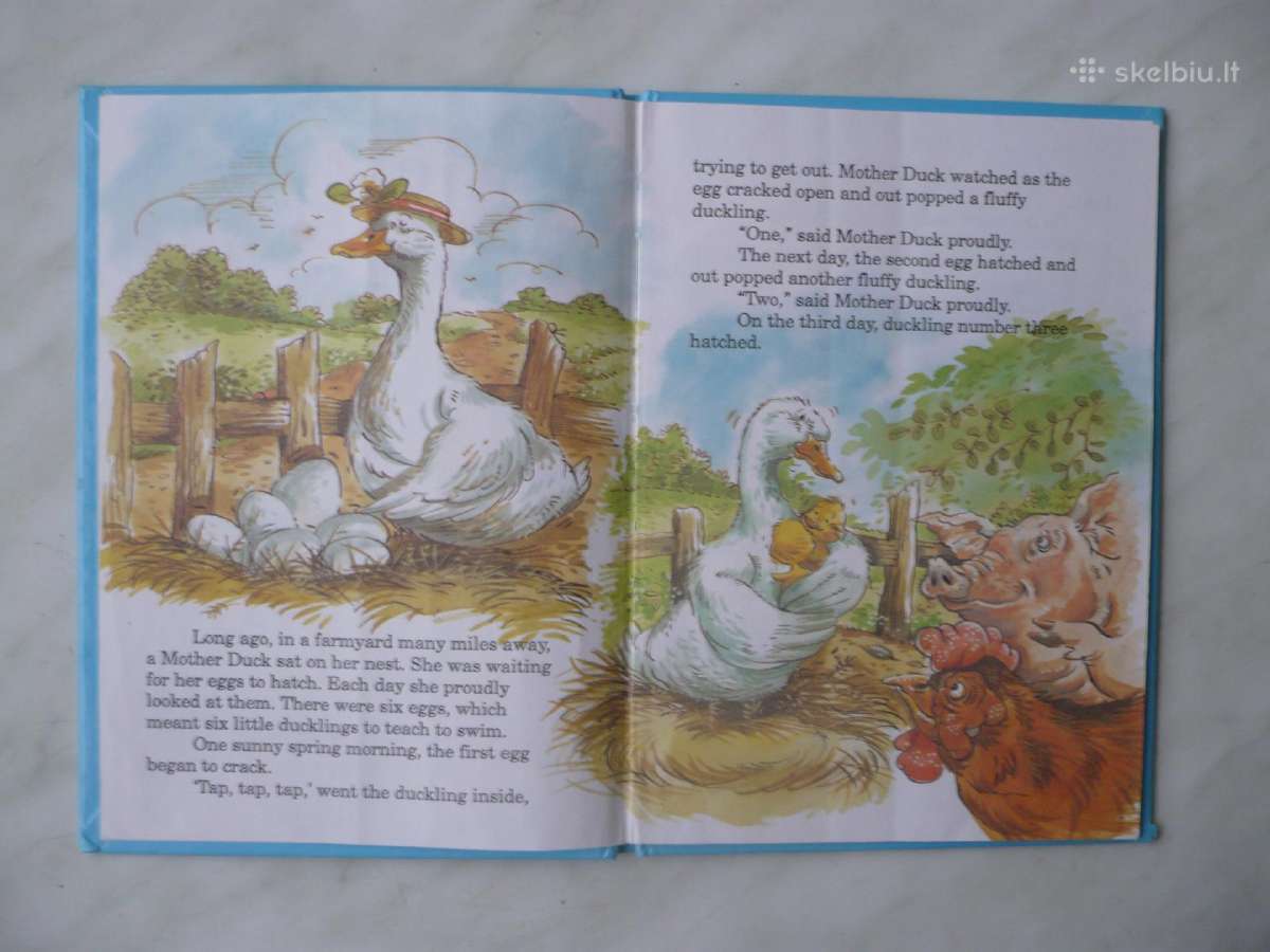 The ugly duckling - nuotraukos Nr. 2
